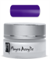 Preview: Colour Acryl Powder SPARKLING Violet12g Nr. 23