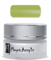 Preview: Colour Acryl Powder NEON Grass Green12g Nr. 39 Preview: Colour Acryl Powder NEON Grass Green12g Nr. 39