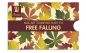 Mobile Preview: Moyra Stamping Schablone - Free Falling Nr.114