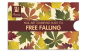 Preview: Moyra Stamping Schablone - Free Falling Nr.114 Preview: Moyra Stamping Schablone - Free Falling Nr.114
