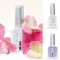 Preview: Abschlusslack Mega Glanz - Mega Gloss Top Coat Preview: Abschlusslack Mega Glanz - Mega Gloss Top Coat
