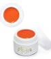 Preview: Moyra Painting Gel Vivid Orange 5g Nr. 6, optimiert für Ihre NailArt, kein Verlaufen, hochdeckend, hochpigmentiertes Mal-Gel, Anwendung auf dem fertigen Nagel Preview: Moyra Painting Gel Vivid Orange 5g Nr. 6, optimiert für Ihre NailArt, kein Verlaufen, hochdeckend, hochpigmentiertes Mal-Gel, Anwendung auf dem fertigen Nagel