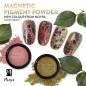 Preview: MAGNETIC CAT EYE EFFECT - Pigment Powder Rosegold Preview: MAGNETIC CAT EYE EFFECT - Pigment Powder Rosegold