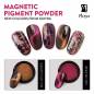Preview: MAGNETIC CAT EYE EFFECT - Pigment Powder Kupfer